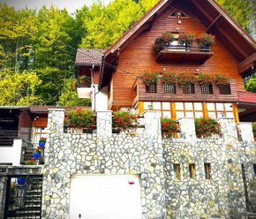 ALISIO Sinaia